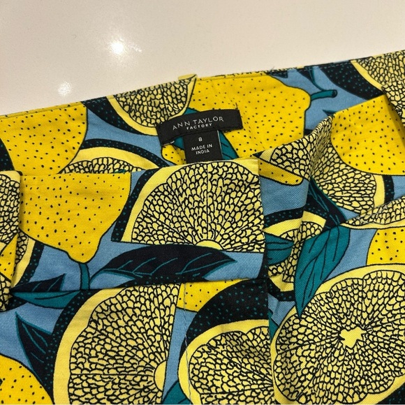 Ann Taylor Factory ADORABLE Lemon Shorts, NWOT, size 8 - Picture 5 of 8